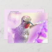紫色の花の上にピンクのアナ飛んでいるのハミングバード ポストカード (正面/裏面)