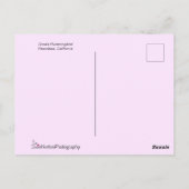 紫色の花の上にピンクのアナ飛んでいるのハミングバード ポストカード (裏面)