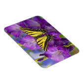 紫色の花の上に咲く子牛 マグネット (右側)