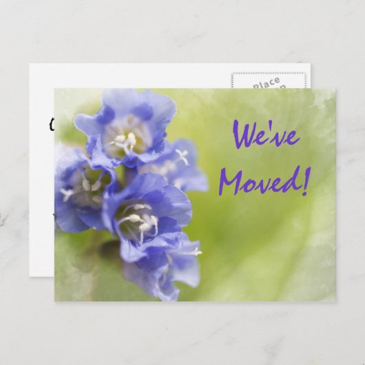 紫色の花の住所の変更のお知らせ 案内ポストカード (正面/裏面)