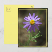 紫色の花の力 ポストカード (正面/裏面)