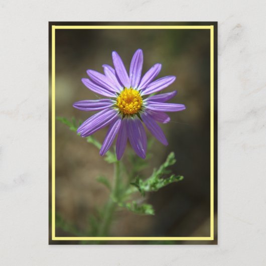 紫色の花の力 ポストカード (正面)