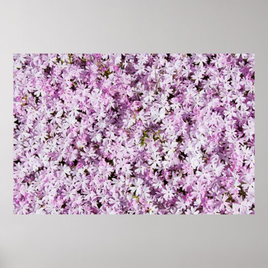 紫色の花の夏の花の鮮度の背景 ポスター (正面)