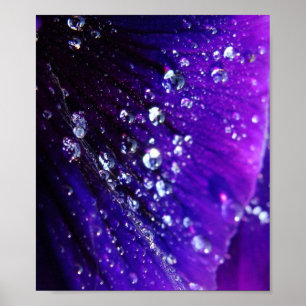 紫色の花の水低下の写真 ポスター