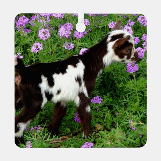 紫色の花の派手なナイジェリアの矮性ヤギの子 メタルオーナメント (裏面)