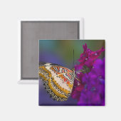 紫色の花の熱帯蝶 マグネット (正面/裏面)
