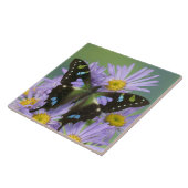 紫色の花の蝶 タイル (側面)