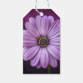 紫色の花の開花 ギフトタグ