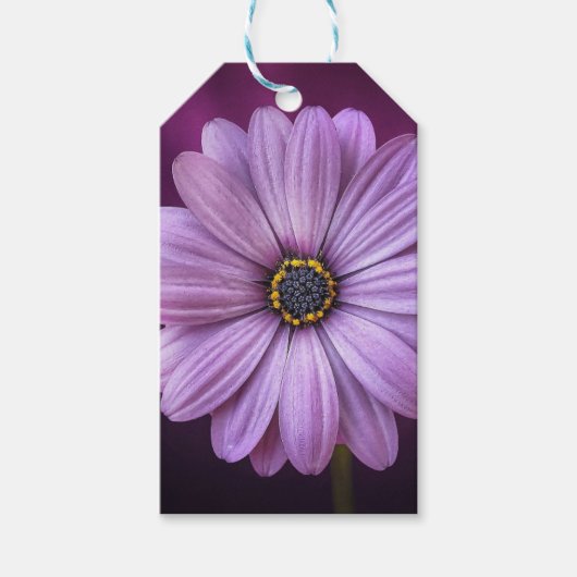 紫色の花の開花 ギフトタグ (正面)