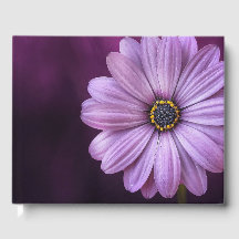 紫色の花の開花