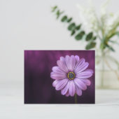 紫色の花の開花 ポストカード (スタンド正面)