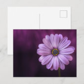 紫色の花の開花 ポストカード (正面/裏面)