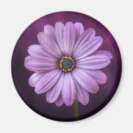 紫色の花の開花 マグネット