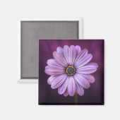 紫色の花の開花 マグネット (正面/裏面)