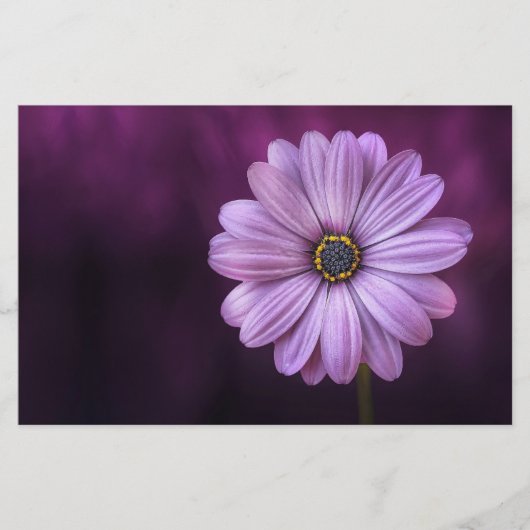 紫色の花の開花 便箋 (正面)
