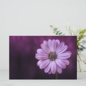 紫色の花の開花 便箋 (スタンド正面)