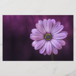 紫色の花の開花 便箋