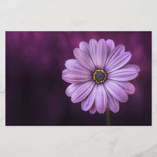 紫色の花の開花 便箋 (正面)