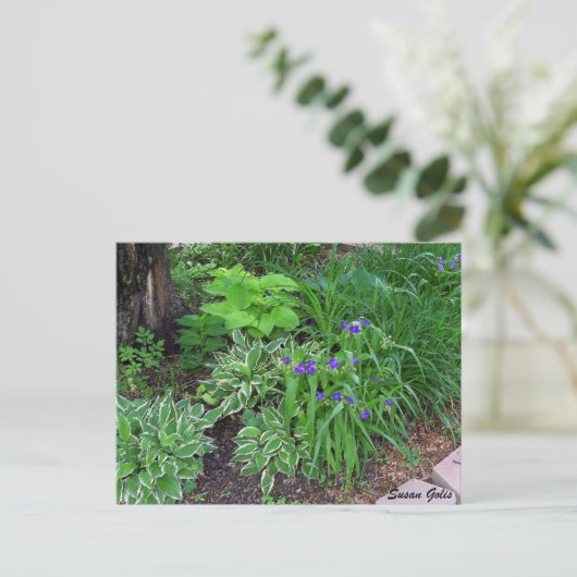 紫色の花はがき付きホスタガーデン ポストカード (スタンド正面)