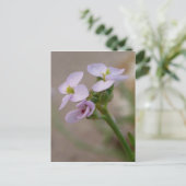 紫色の花はがき ポストカード (スタンド正面)