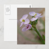 紫色の花はがき ポストカード (正面/裏面)