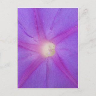 紫色の花はがき ポストカード