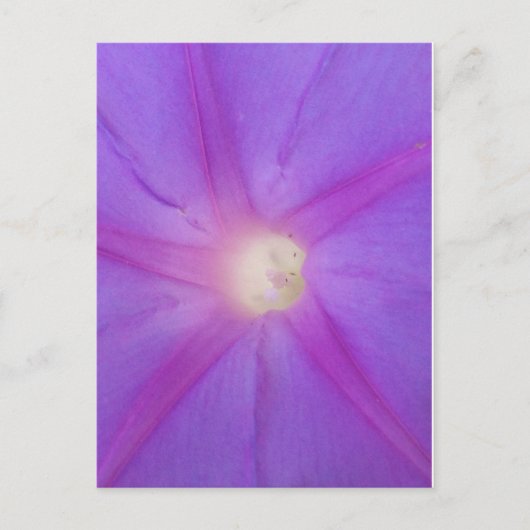 紫色の花はがき ポストカード (正面)
