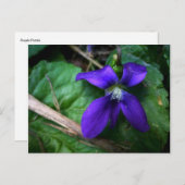 紫色の花びら ポストカード (正面/裏面)