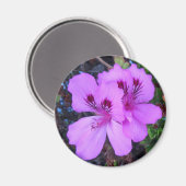 紫色の花キッチンマグネット マグネット (正面/裏面)