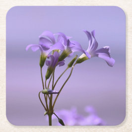 紫色の花コースター スクエアペーパーコースター