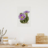 紫色の花サボテンのスケッチ ポスター (キッチン)