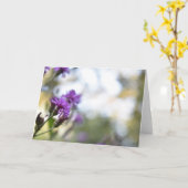 紫色の花サマー自然撮影フローラ カード (黄色い花)