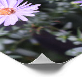 紫色の花サマー自然撮影フローラ ポスター (角)