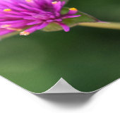 紫色の花サマー自然撮影フローラ ポスター (角)