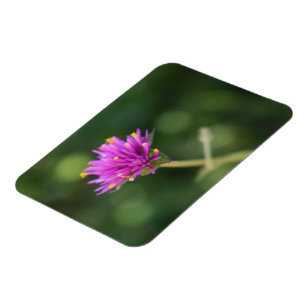 紫色の花サマー自然撮影フローラ マグネット