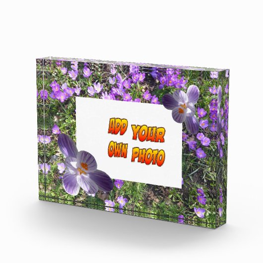 紫色の花ストライプのはクスクス。フォトブロック フォトブロック (右)