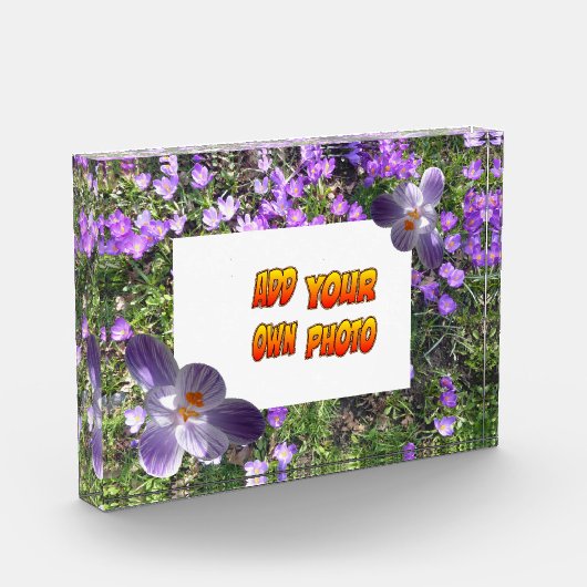 紫色の花ストライプのはクスクス。フォトブロック フォトブロック (左)