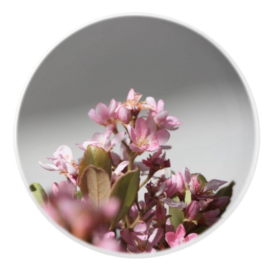 紫色の花セラミックノブ セラミックノブ (正面)