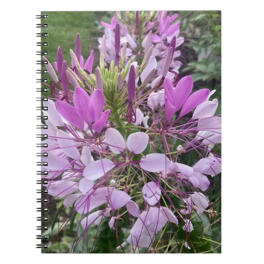 紫色の花ノート ノートブック (正面)