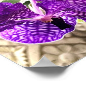 紫色の花ムーンオーキッド熱帯植物 ポスター (角)