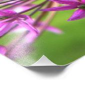 紫色の花写真 フォトプリント            (角)