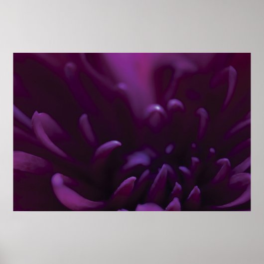 紫色の花写真 ポスター (正面)