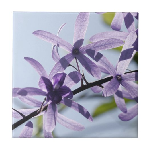 紫色の花器タイル タイル (正面)