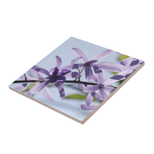 紫色の花器タイル タイル (側面)