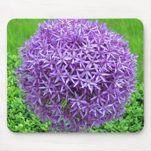 紫色の花球 マウスパッド (正面)