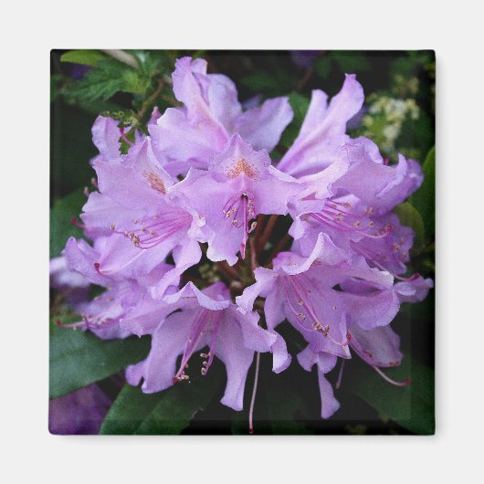 紫色の花磁石 マグネット (正面)