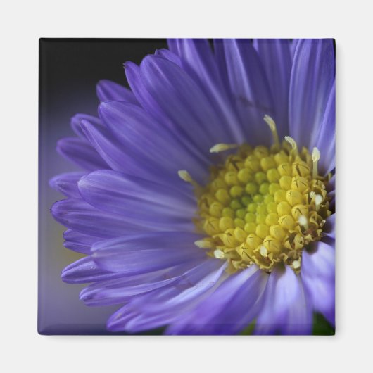 紫色の花磁石 マグネット (正面)