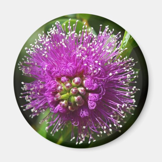 紫色の花磁石 マグネット (正面)