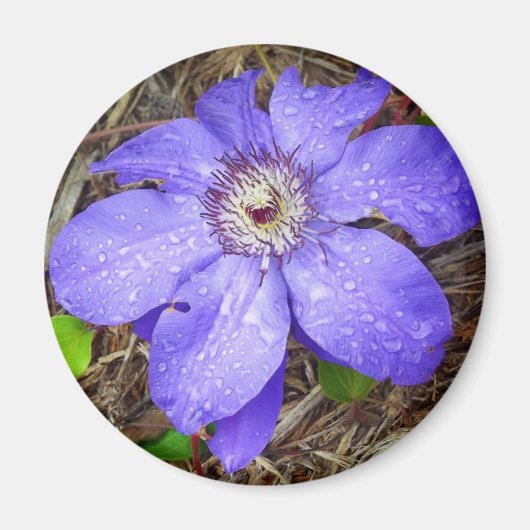 紫色の花磁石 マグネット (正面)