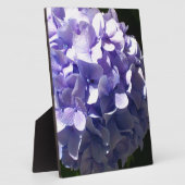 紫色の花紫のフローラ紫の水栓 フォトプラーク (側面)